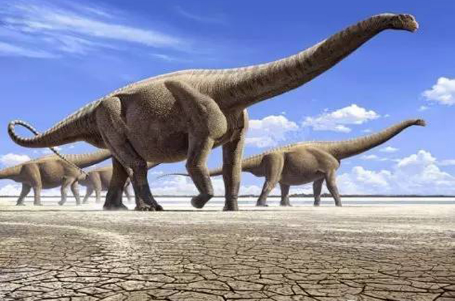 世界上体型最大的恐龙是哪些?